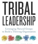 Download 'Tribal Leadership: Leveraging Natural Groups to Build a Thriving Organization' By Dave, John & Halee PDF Ebook